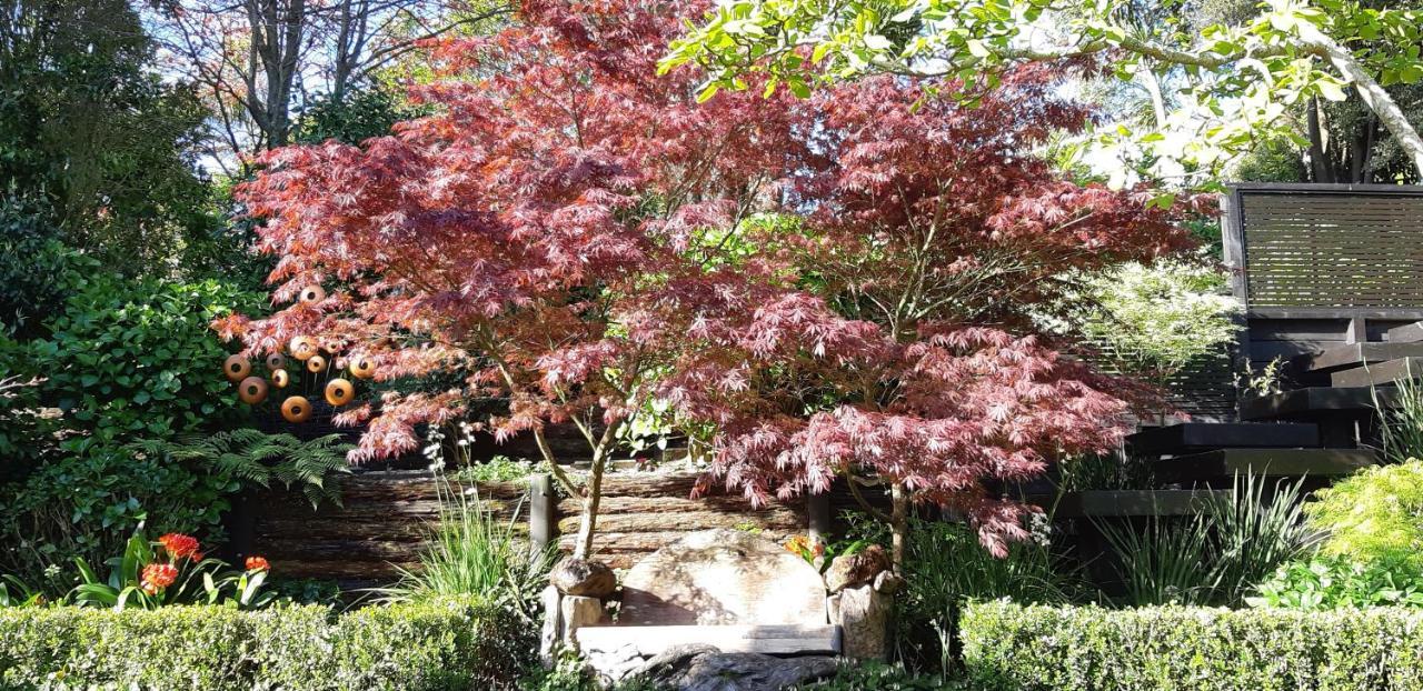 新普利茅斯Sequoia Steps住宿加早餐旅馆 外观 照片